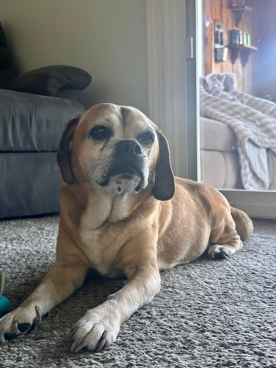PennyMProud's tweet photo. y'all, he's 14 😭 https://t.co/kkDrHcung5