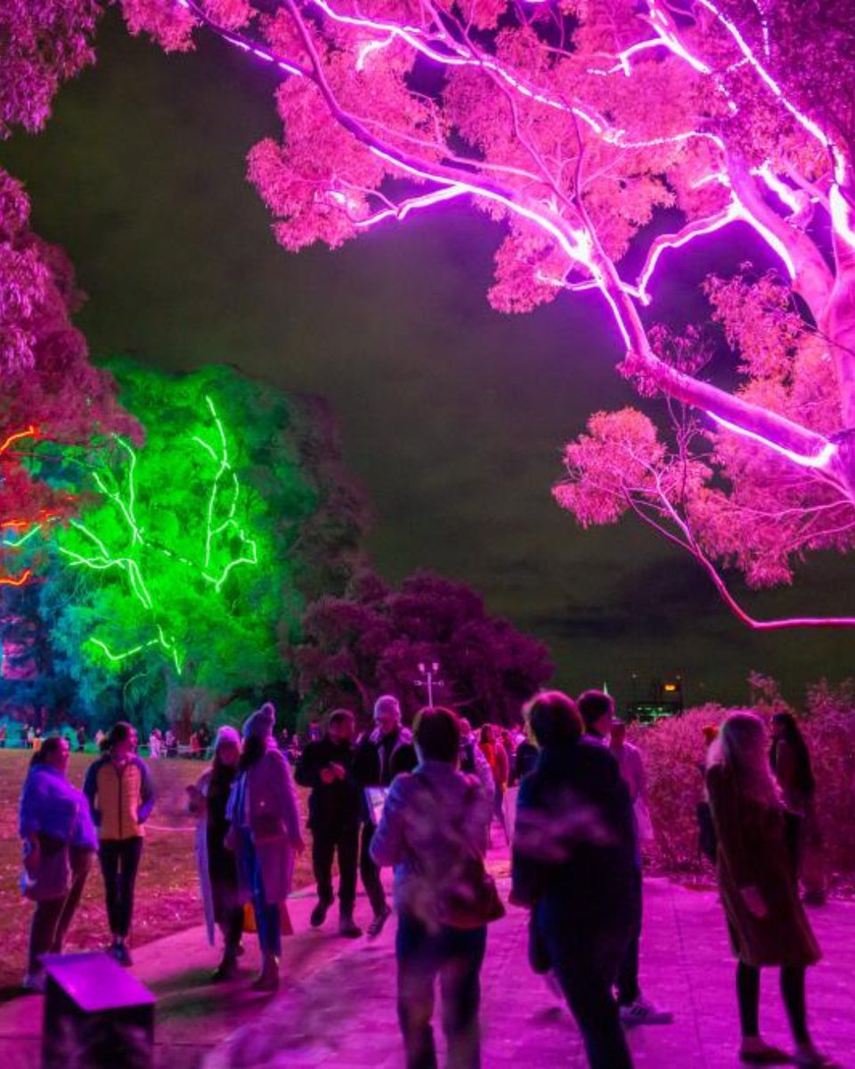 WestAustralia's tweet photo. Be transported by the glow of #Lightscape - a multi-sensory experience at 
@KingsPark_WA (Kaarta Koomba). Celebrating artistry and wonder, stroll illuminated pathways and lose yourself in light and sound until the 28th of July 💡✨ #WAtheDreamState https://t.co/2RQp0mqesV https://t.co/angekdBOfT