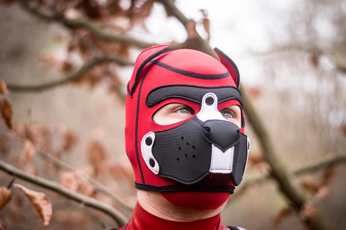 Wow, thanks, I got 1k overnight 

Thanks to everyone who follows me, I've been wonderful🥳