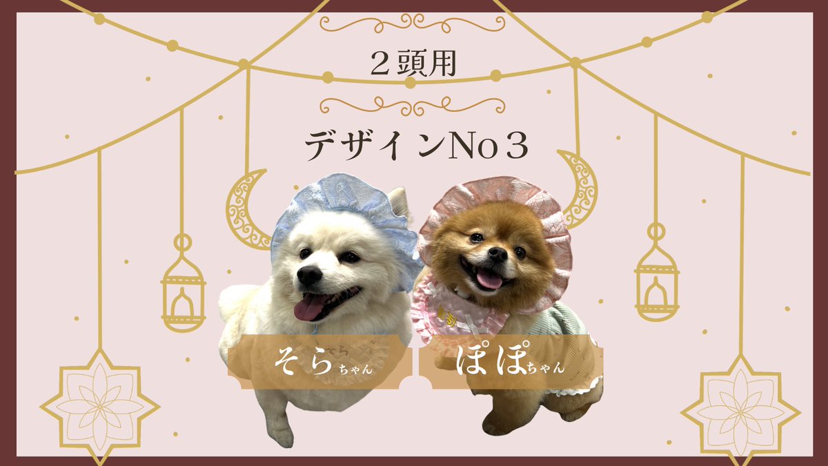 nekoBucho222's tweet photo. 【モニター当選発表】
当選された方おめでとちゃ~ん☀👏
後ほど、ジャンブルベースからメールが届くから
待っててなぁ~🐱
※採用された子たちの写真は「uchiniko」Tシャツも広告などで使わせてもらいます
#モニター当選発表 #ペットTシャツ #uchinoko
#ジャンブルベース #ねこ部長 https://t.co/0XzdT8LkeN