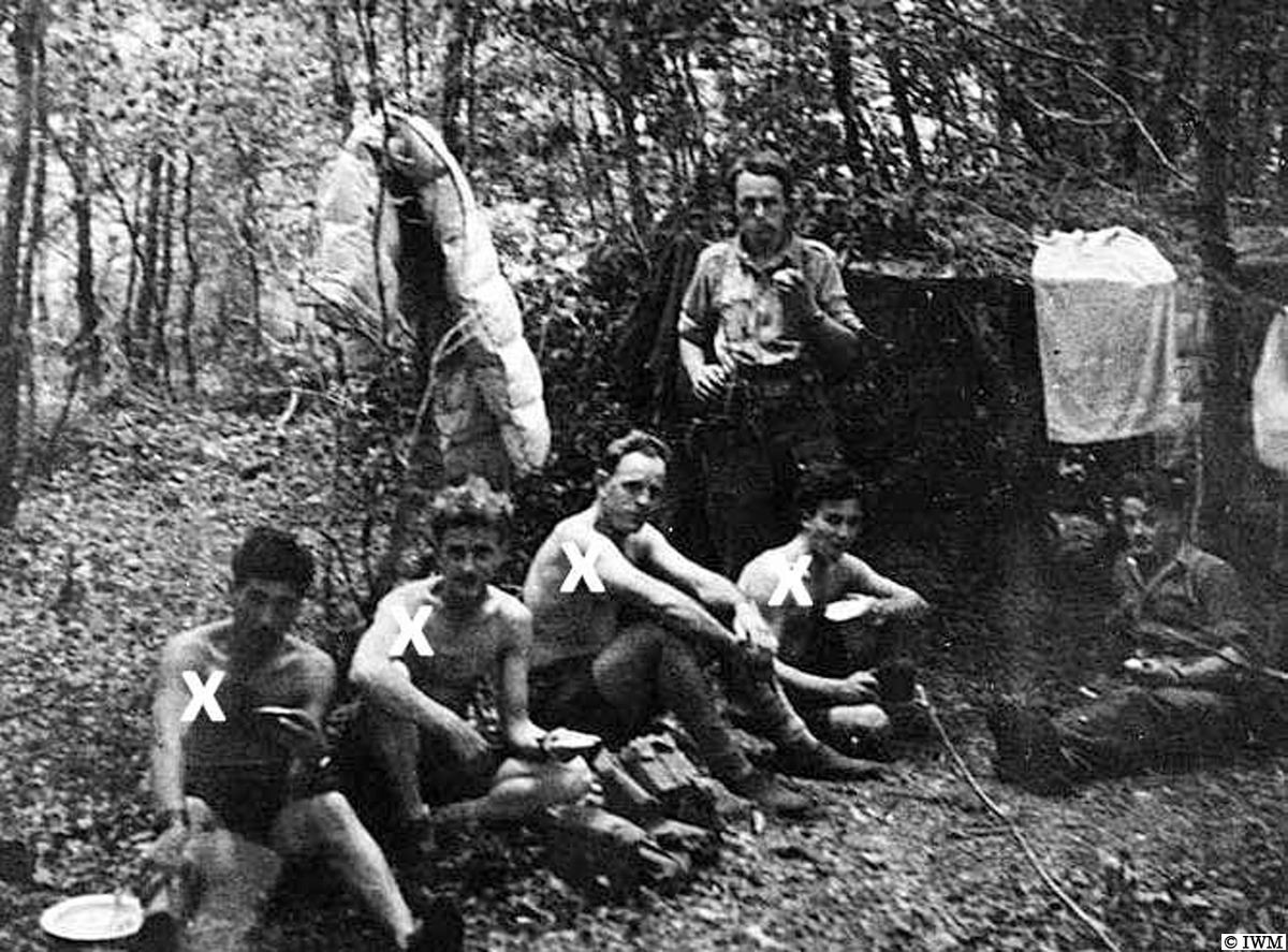 rgpoulussen.bsky.social tweet media