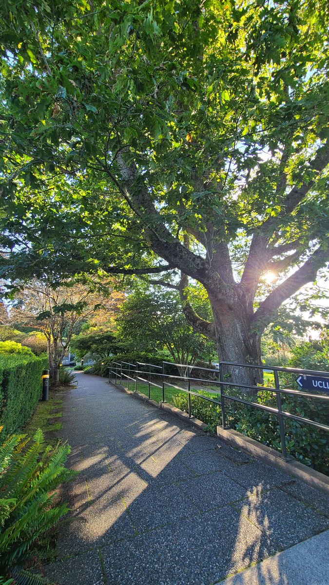 Shannon Thiesen (@thiesenart) on Twitter photo Beautiful grounds and beautiful learning and connection opportunities so far at <a href="/BCPVPA/">BC Principals' & Vice-Principals' Association</a> Foundations 2024 course. Big appreciation for this opportunity! Beautiful grounds and beautiful learning and connection opportunities so far at <a href="/BCPVPA/">BC Principals' & Vice-Principals' Association</a> Foundations 2024 course. Big appreciation for this opportunity!