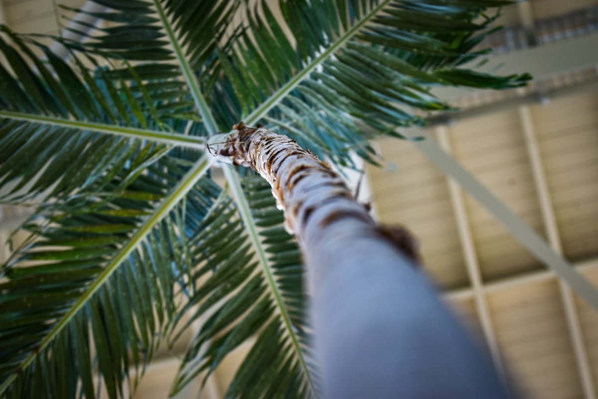 Domoreadventur2's tweet image. Come on ya&apos;ll.  If you like what you see let me take care of whatever photos you&apos;re wanting done next