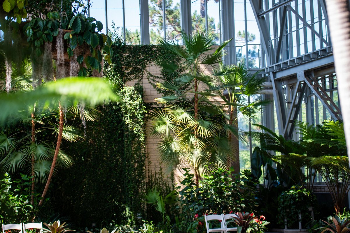 Domoreadventur2's tweet image. Come on ya&apos;ll.  If you like what you see let me take care of whatever photos you&apos;re wanting done next