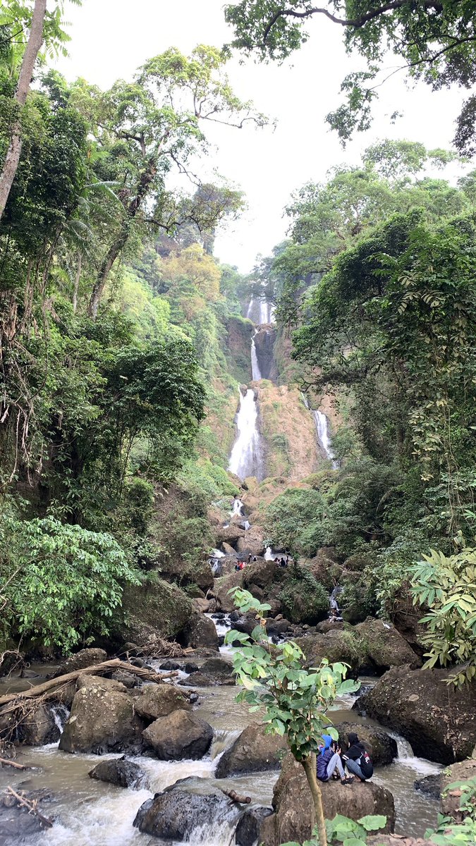 sabilbahar's tweet image. &amp;lt;3 green