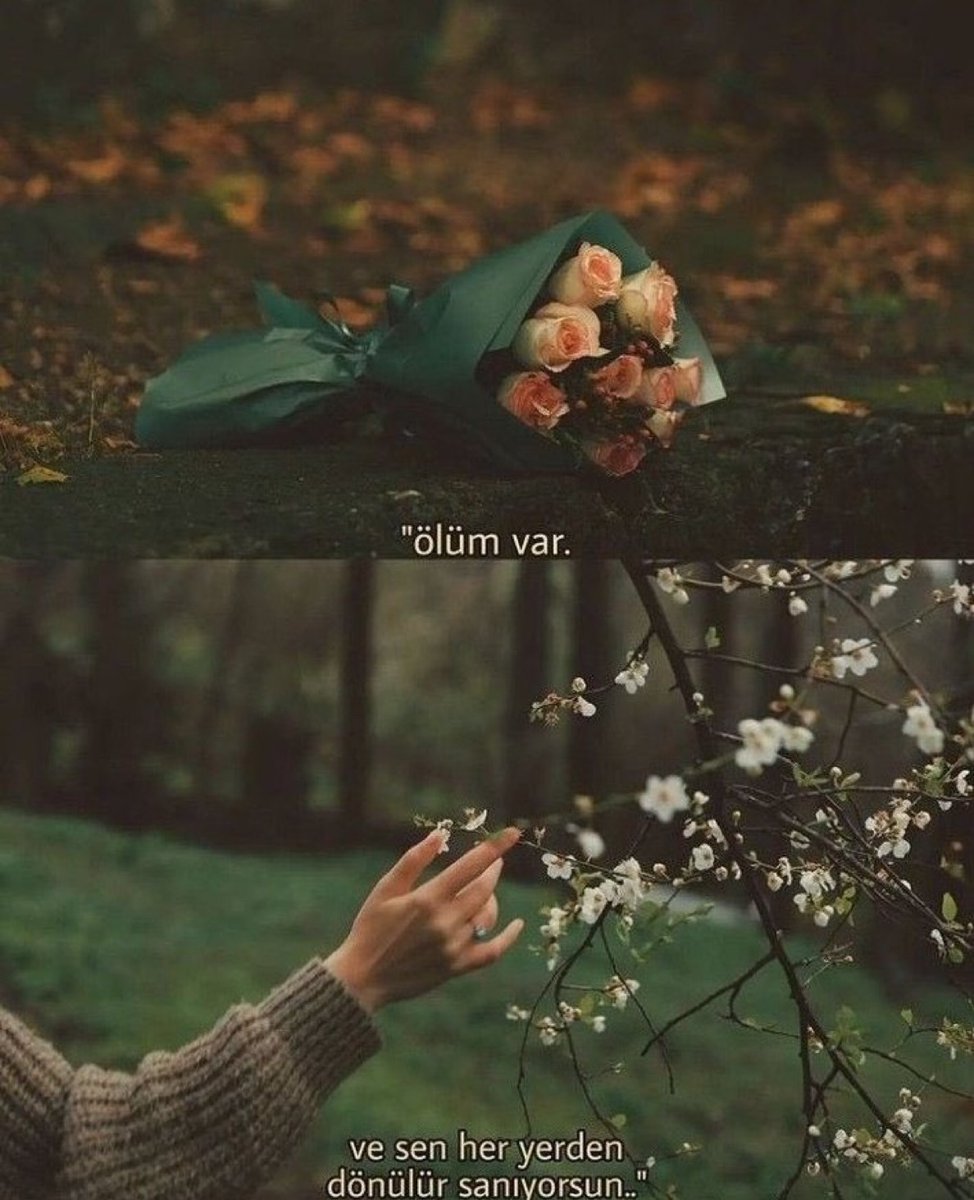 "Ölüm var,
        Ve sen her yerden
               dönülür sanıyorsun."