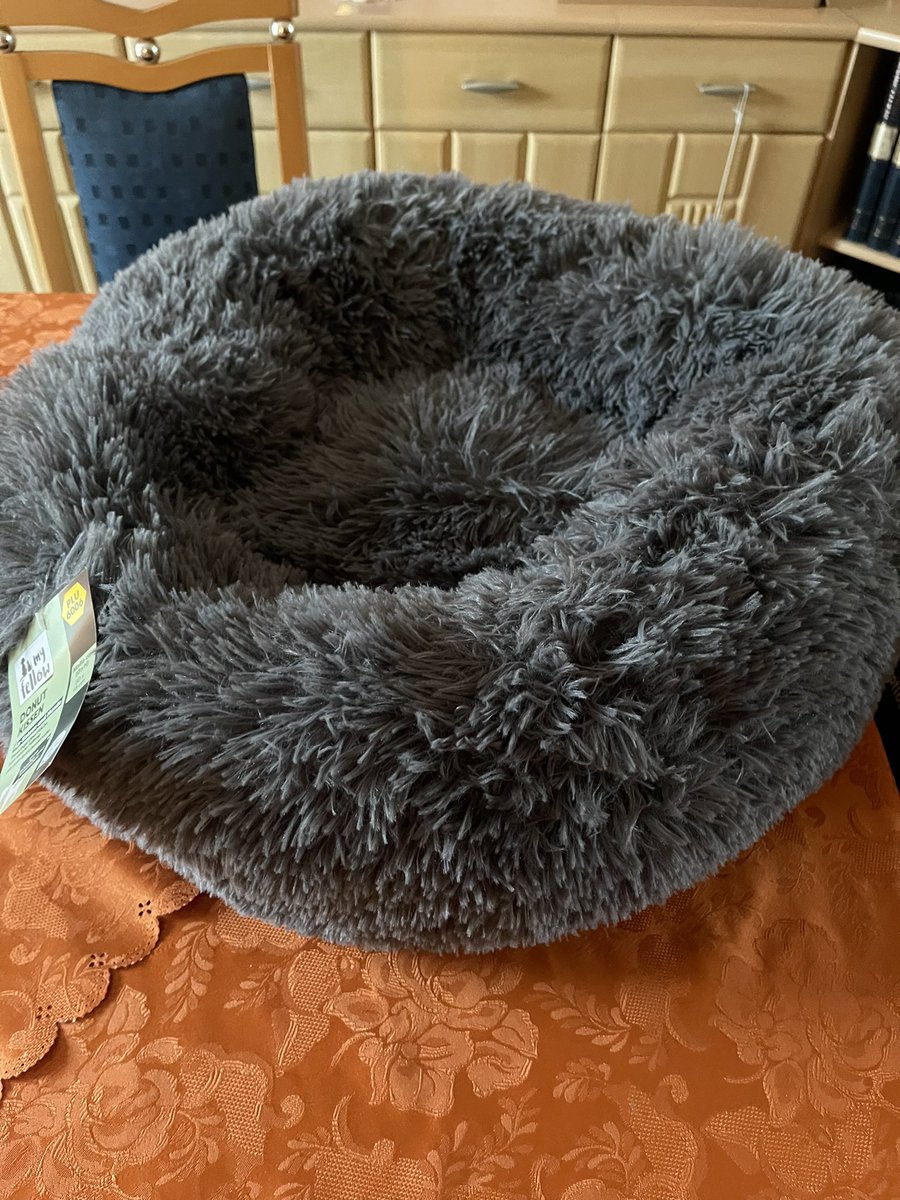 Da_kun's tweet photo. Für meine Katze. Wird sich sicherlich drüber freuen 😊 https://t.co/gekUjVC0Xl