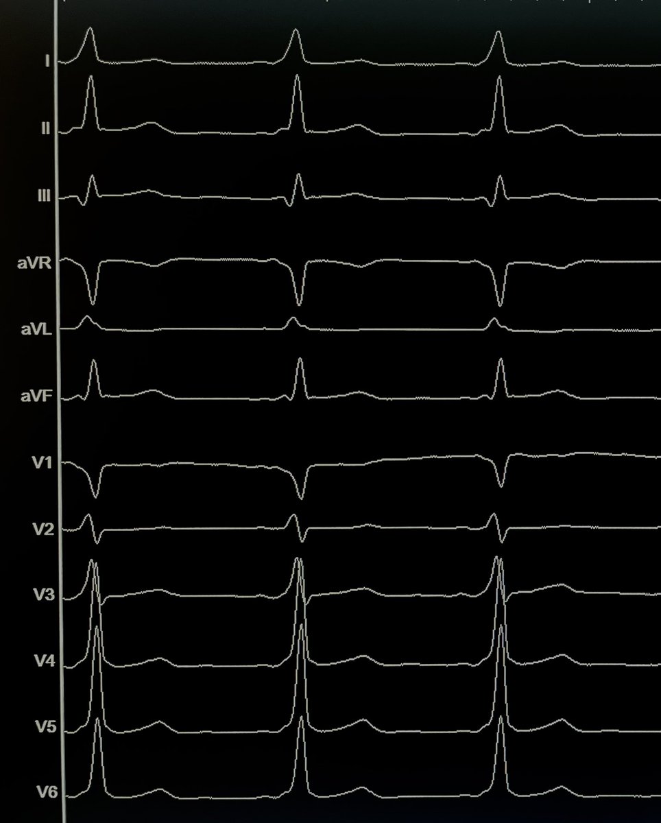 Christian-H. Heeger tweet media