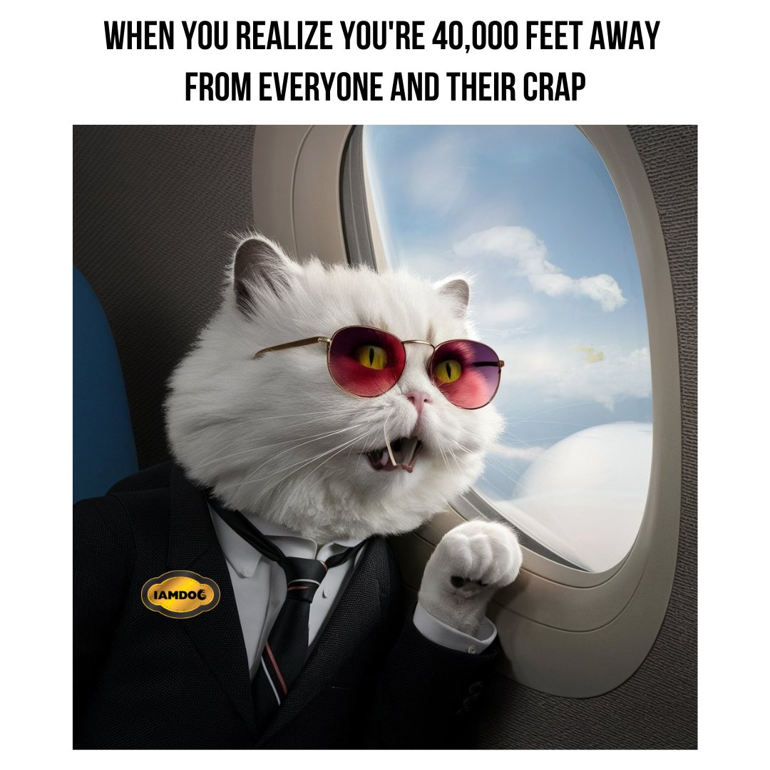 KINGMAKERLEGACY's tweet photo. When your flight gets you high on life. ✈😂

#IAMDOG #IAMFreedom #IAMPeace #IAMRelaxation #IAMBliss #IAMSerenity #IAMTranquility #IAMAboveItAll https://t.co/1EIJBITxRE