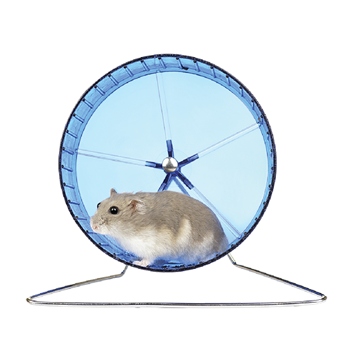 Alerta Solidària tweet media