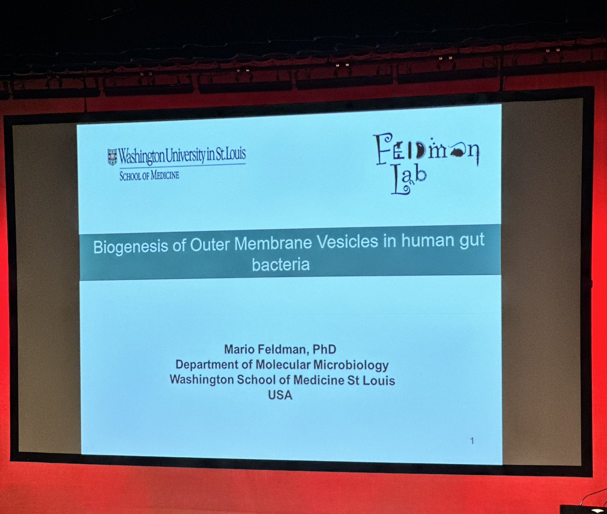 Fantastic presentation by <a href="/MarioFeldman9/">Mario Feldman</a> on the biogenesis of outer membrane vesicles (OMVs) in human gut microbes. The production of OMVs in Bacteroides species is incredibly intriguing, and I’m excited to see the upcoming results!

#ASM2024_XAward <a href="/AUSSOCMIC/">ASM</a>