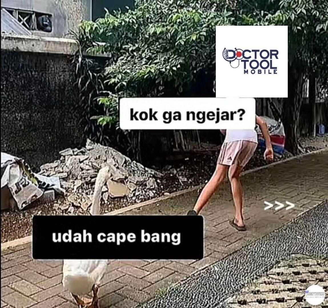 Gws sih kalo masih pake ini buat tahun ini