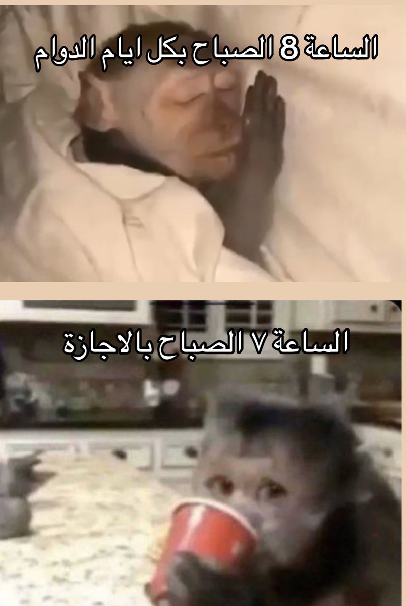 i14nn's tweet image. 