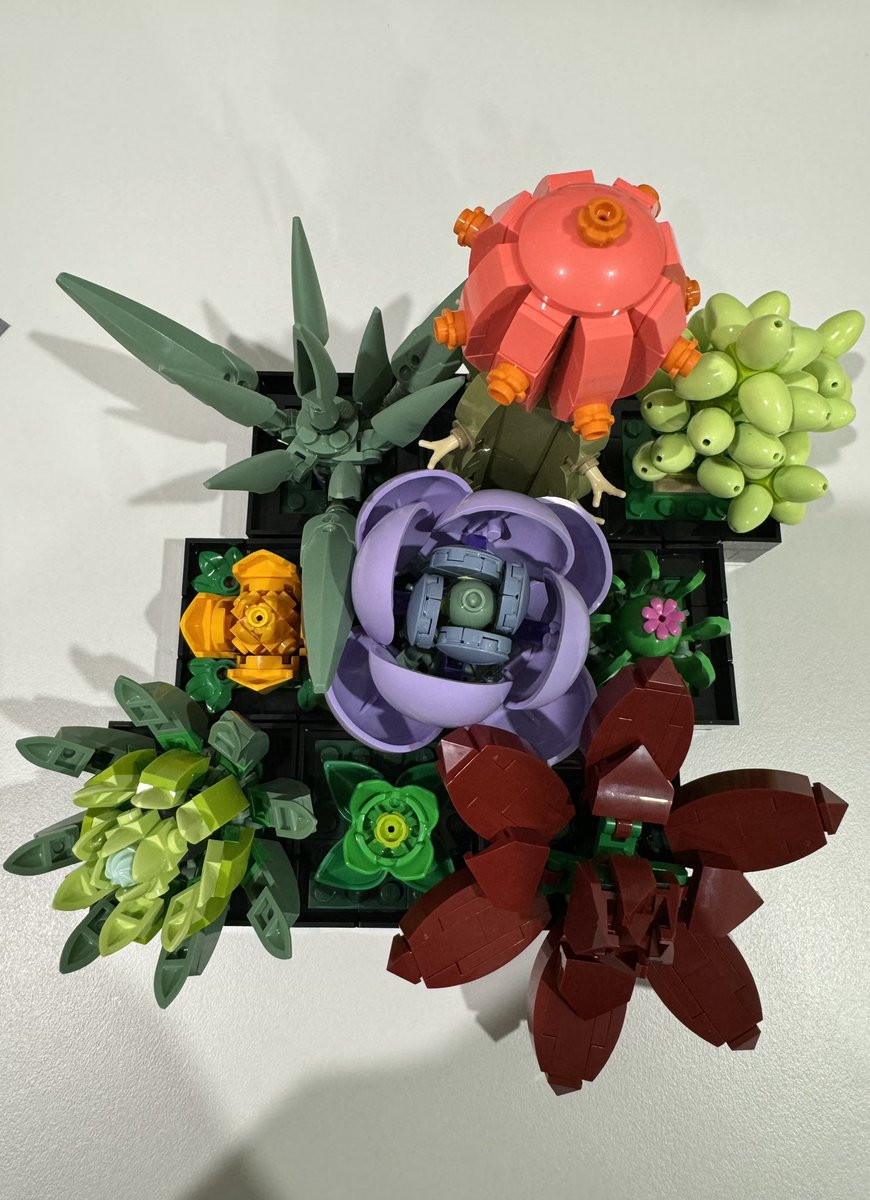 Project during my covid days.. 
#SucculentLego