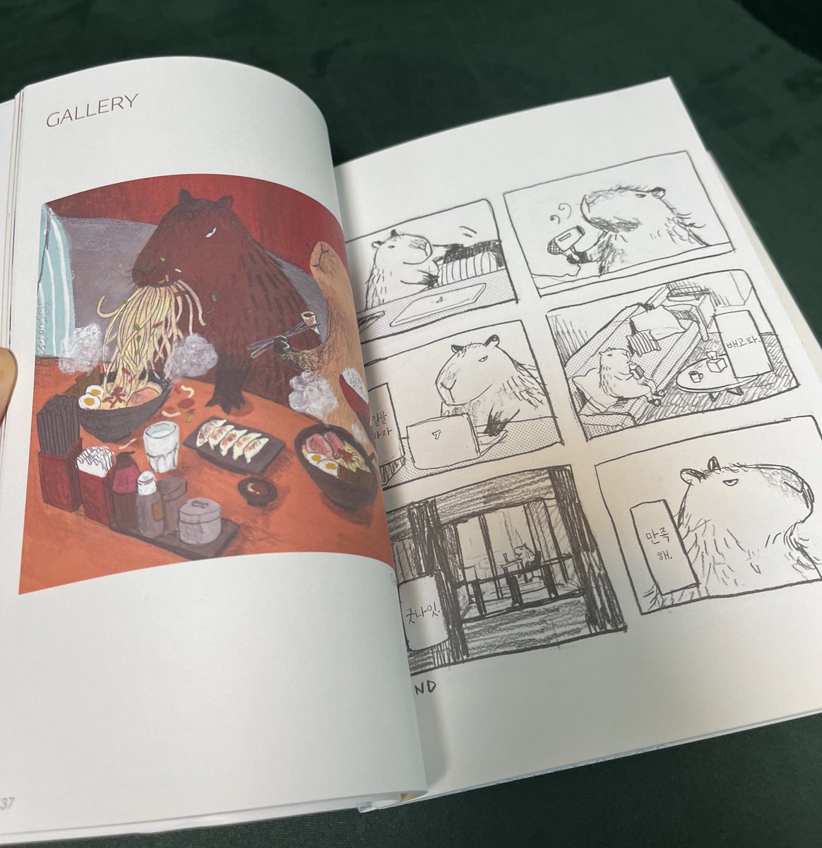 오늘의 추천 만화
삼색 고양이 모부는 캔부자가 되고 싶어 - 캐시 램 
연필과 수채화로 표현된 고양이... 너모 따끈하고 포근해요... 카피바라도 나옴!!!