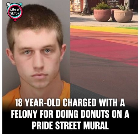 Does he deserve to be charged with a FELONY? Or naw?🤔