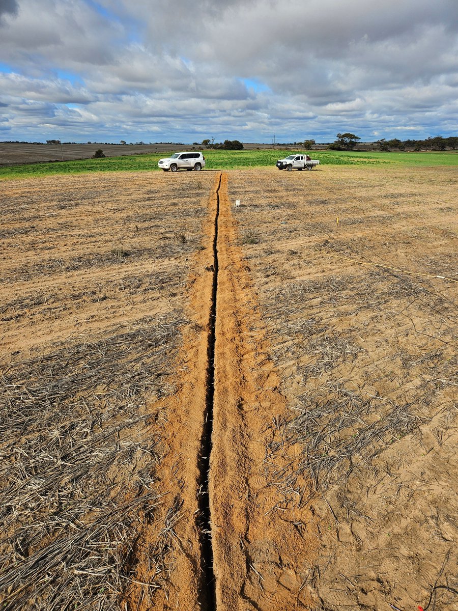 Leighton Wilksch tweet media