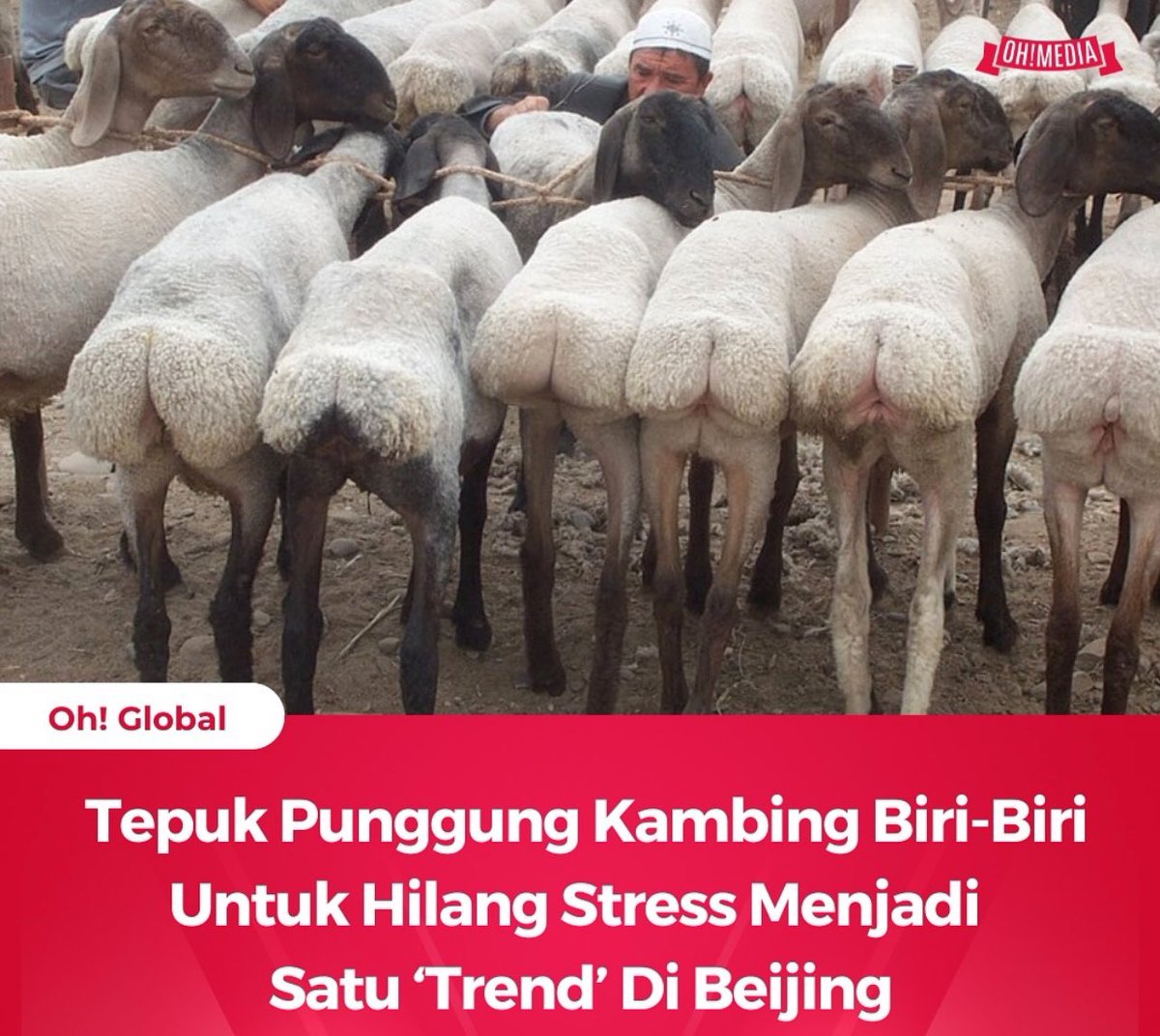 brgsjks's tweet photo. https://t.co/o1Ga6WsmEq