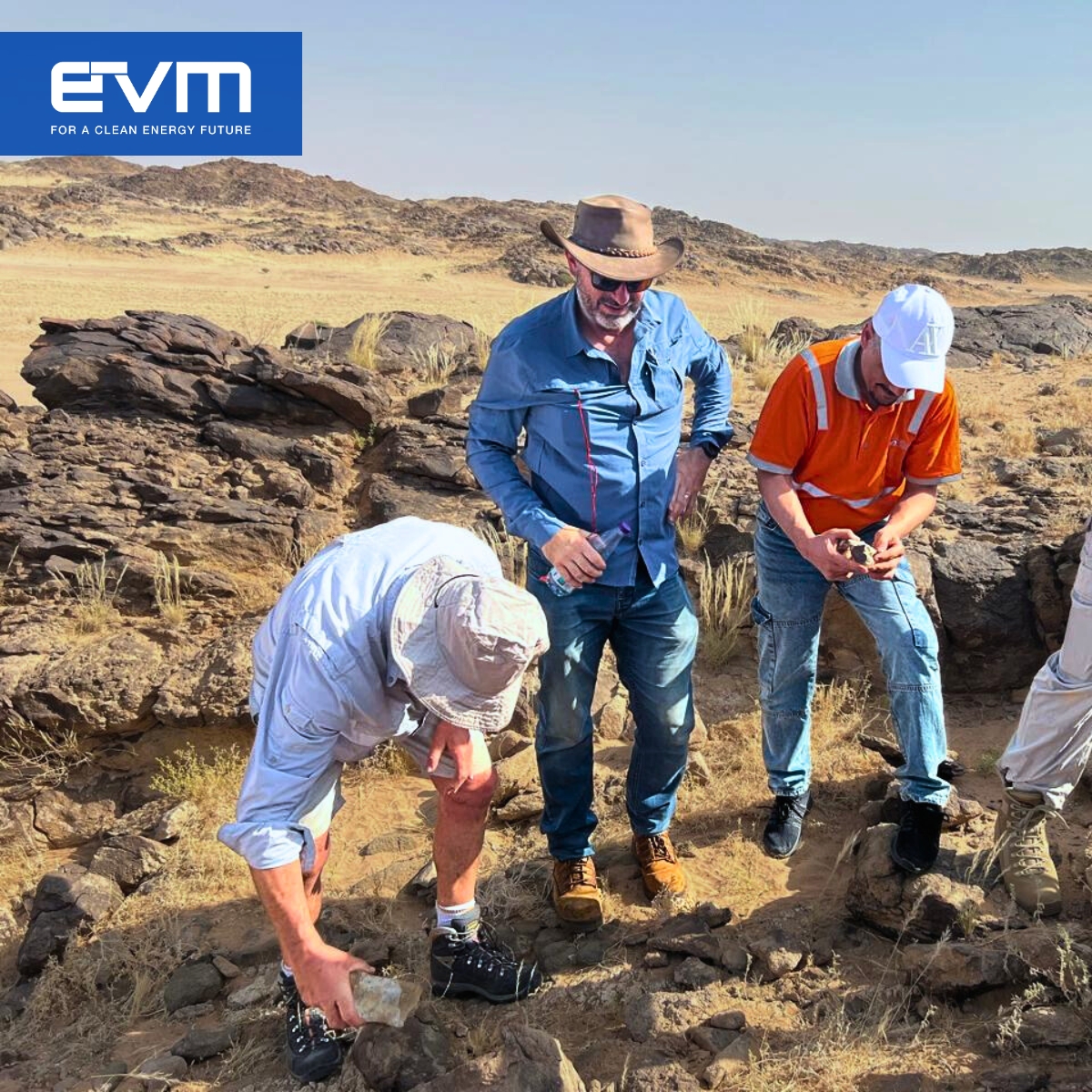 EV Metals Group (EVM) tweet media