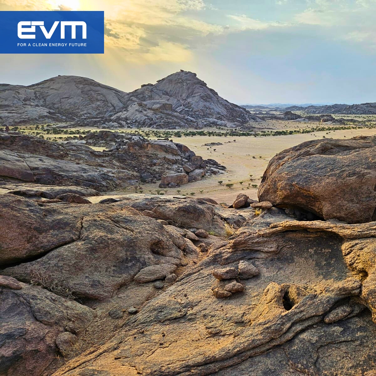 EV Metals Group (EVM) tweet media