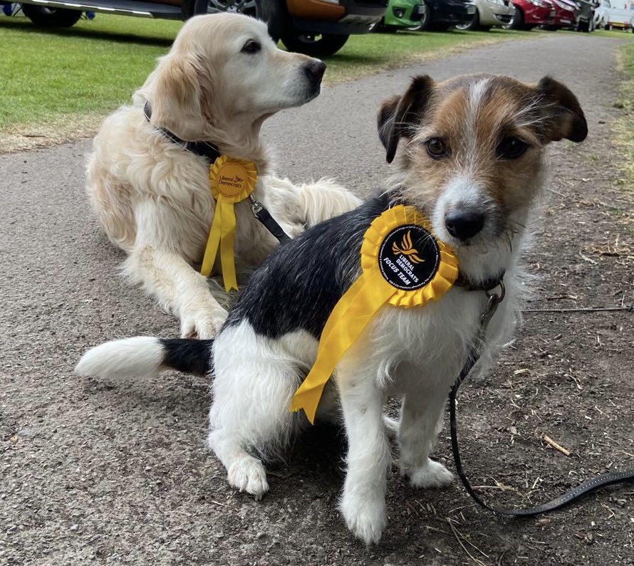 Bella 💙 🐋 🏳️🌈 tweet media