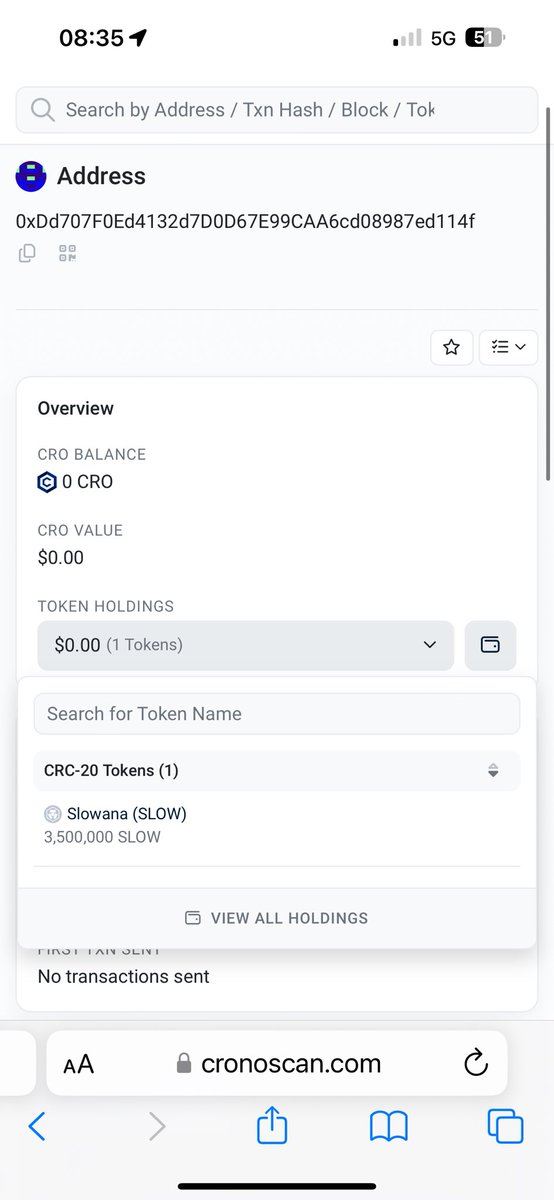 Slowana.cro $SLOW tweet media