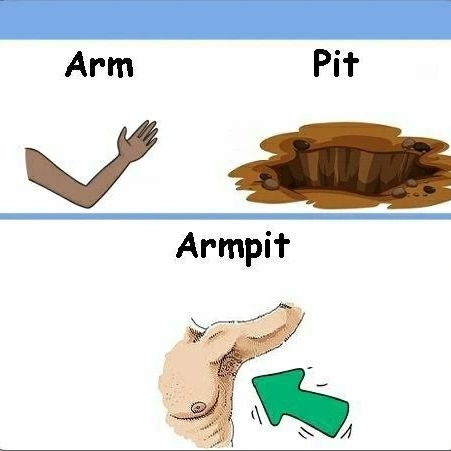 Lingo_Labs's tweet photo. @english Part 2 of https://t.co/MA98wcsEbY