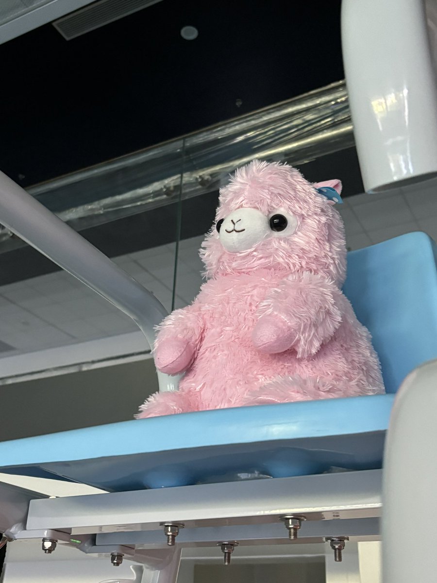 rtxmoon's tweet image. 🥷🥷🥷