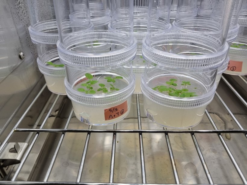Moritz, Manuel and Rebekka experienced an amazing stay at Sakai-sensei's microbiology lab in Kyoto, exploring microbial methods while enjoying Japanese culture, cuisine and sports. Big thanks to the lab members for their warm hospitality and shared expertise!🇯🇵🌿#ScienceExchange