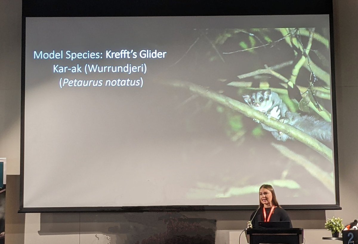 Kerry Fanson tweet media