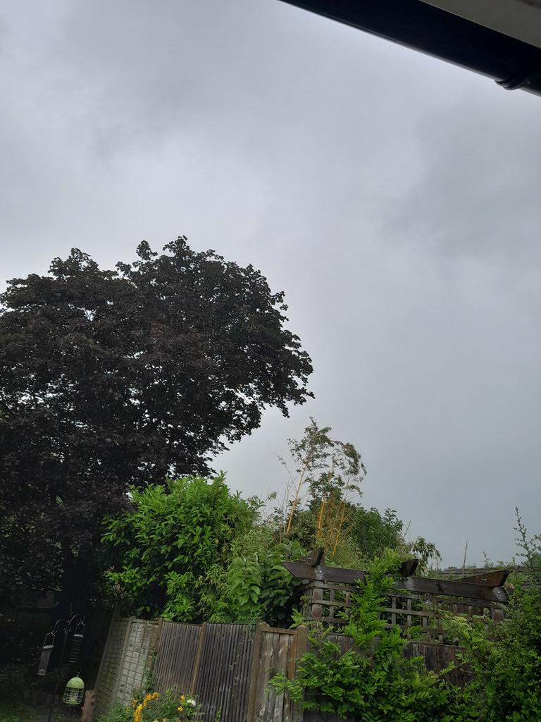 Fiery May, Flaming June and now inferno July!
Will this heatwave never end!
May consider taking my vest off...

#britishsummer