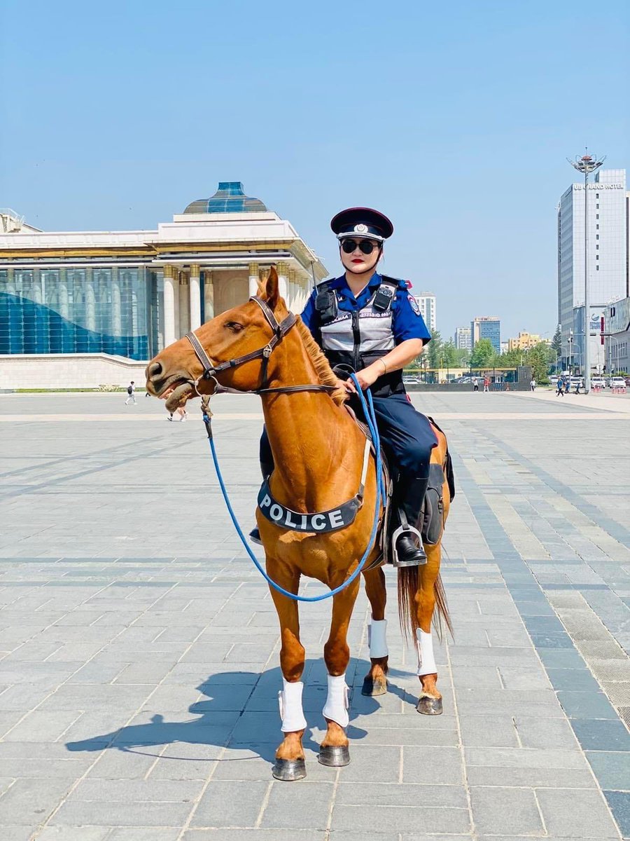 ubpolice's tweet photo. Нийслэлийн иргэд, гадаадын жуулчдын аюулгүй байдлын төлөө 🇲🇳🇲🇳🇲🇳 https://t.co/Lih2D9slr5