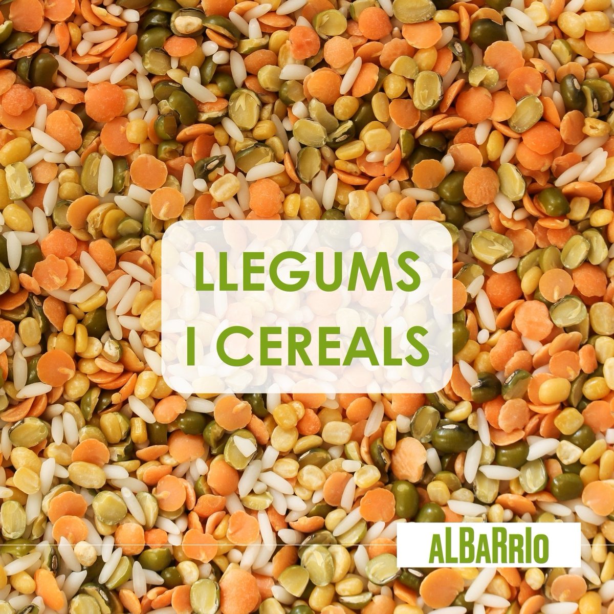 Escola Baró de Viver tweet media