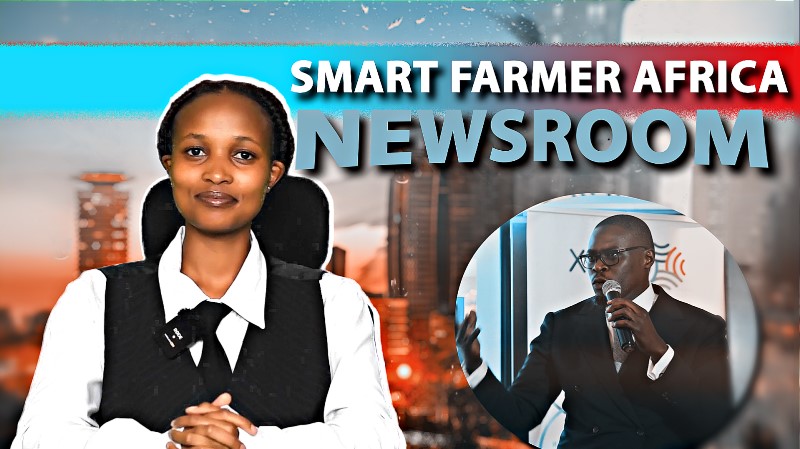 Catch our new video on YouTube where we break down the controversial rejected finance bill 2024 and how it was to impact the agricultural sector 

Farmers in the 2024/25 Budget youtu.be/a3Q3R_TKke4?si… via <a href="/YouTube/">YouTube</a>