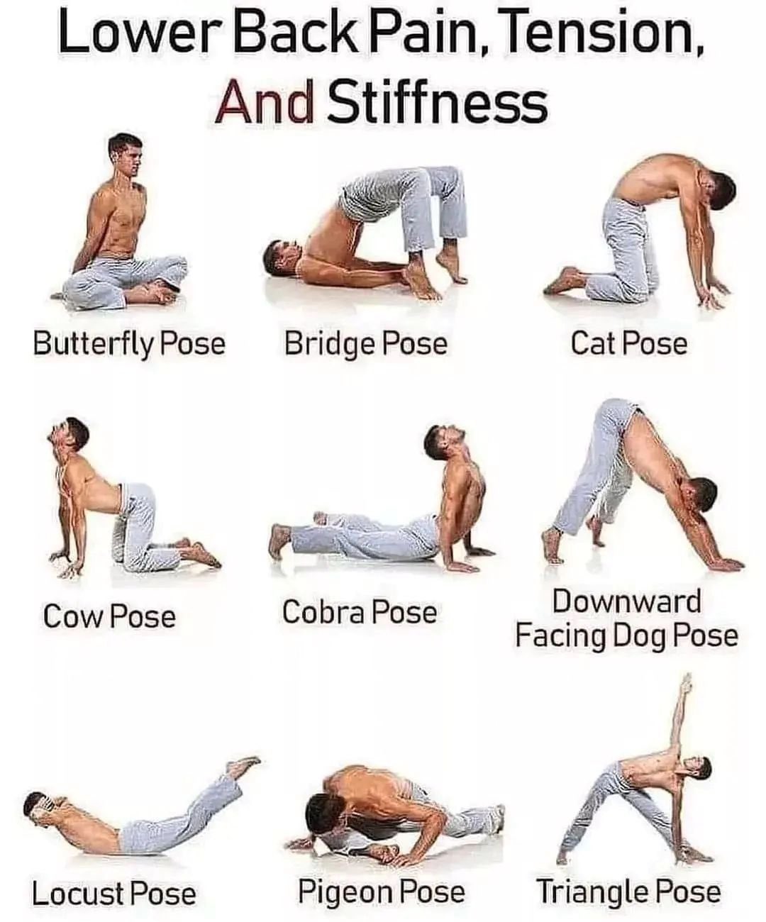 Stretches for lower back pain and stiffness hotsell