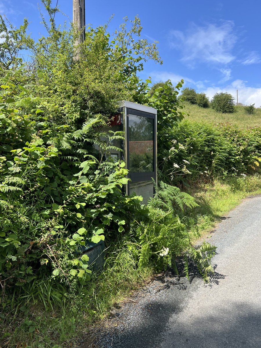 Memorial Device tweet media