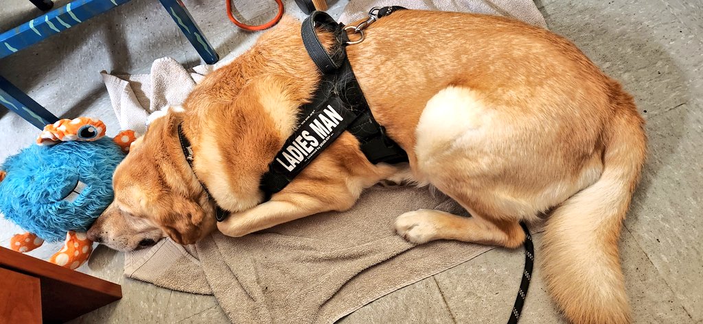 Marshie 🫐 tweet media