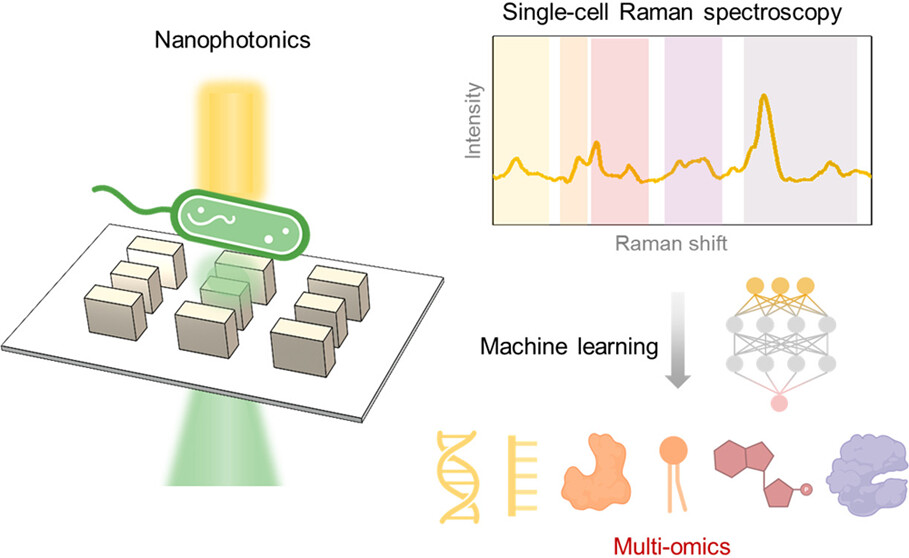 ACS Nano (@acsnano) on Twitter photo Decode single cells with nanophotonics-enabled Raman scattering & machine learning! Check out the new perspective by <a href="/Dionne_Group/">Dionne Group</a>, which envisions how surface-enhanced Raman spectroscopy unlock possibilities in the biological world!
Read it here 🔗 pubs.acs.org/doi/full/10.10… Decode single cells with nanophotonics-enabled Raman scattering & machine learning! Check out the new perspective by <a href="/Dionne_Group/">Dionne Group</a>, which envisions how surface-enhanced Raman spectroscopy unlock possibilities in the biological world!
Read it here 🔗 pubs.acs.org/doi/full/10.10…