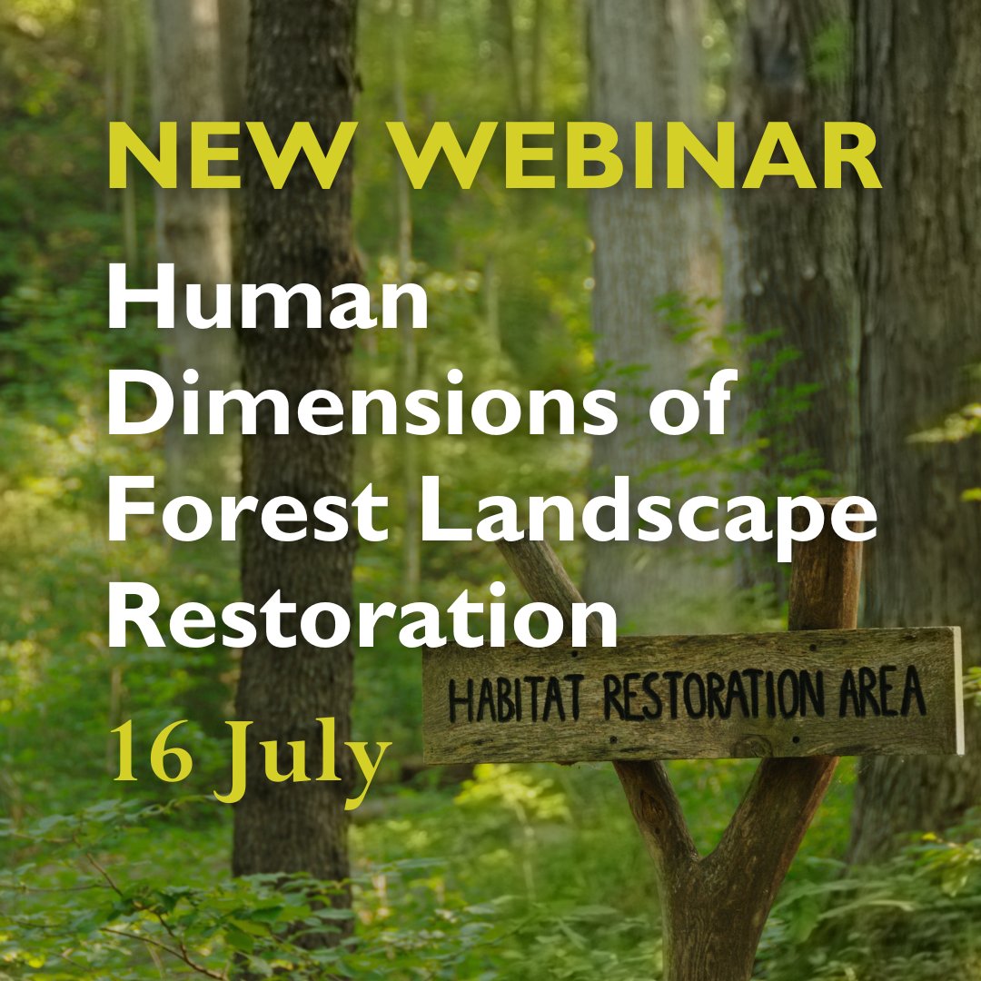 Forest Landscape Restoration is crucial for reversing global forest loss &amp; degradation. But are we fully considering the human element in these efforts? Join our webinar on 16 July exploring the Human Dimensions of Forest Landscape Restoration report: us02web.zoom.us/webinar/regist…