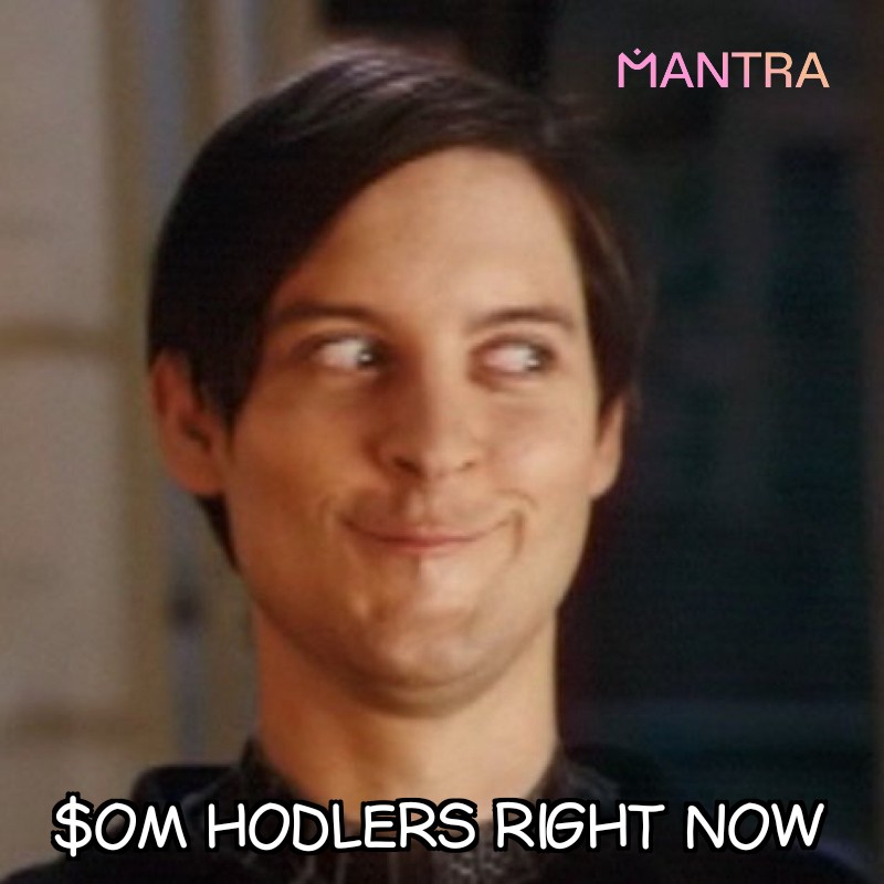 TonieAnselm's tweet photo. They've never been a better time to bag some $OM. Onward to the top from here! 🚀🚀 #MANTRA #RWA #Tokenization https://t.co/DZ0rjVMcyQ