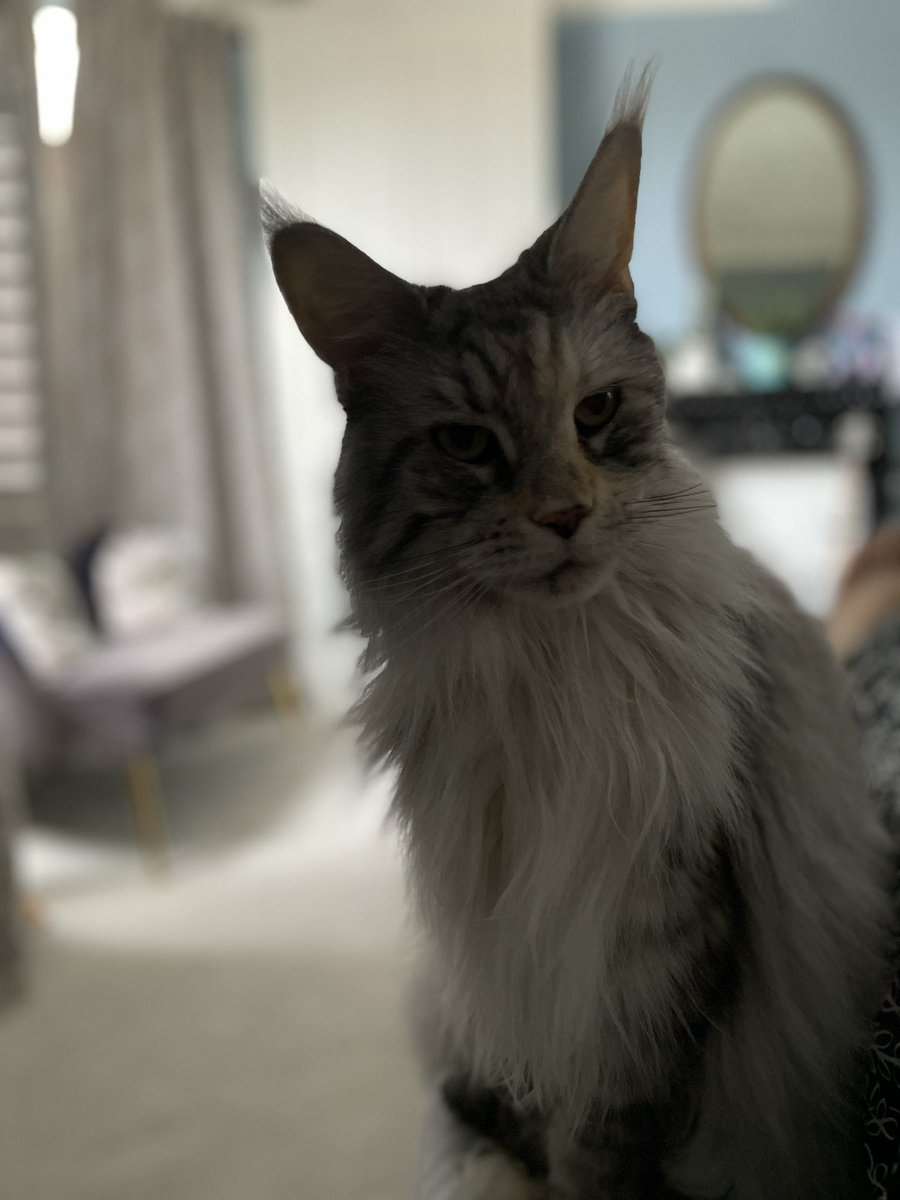 Fenella Humphreys tweet media