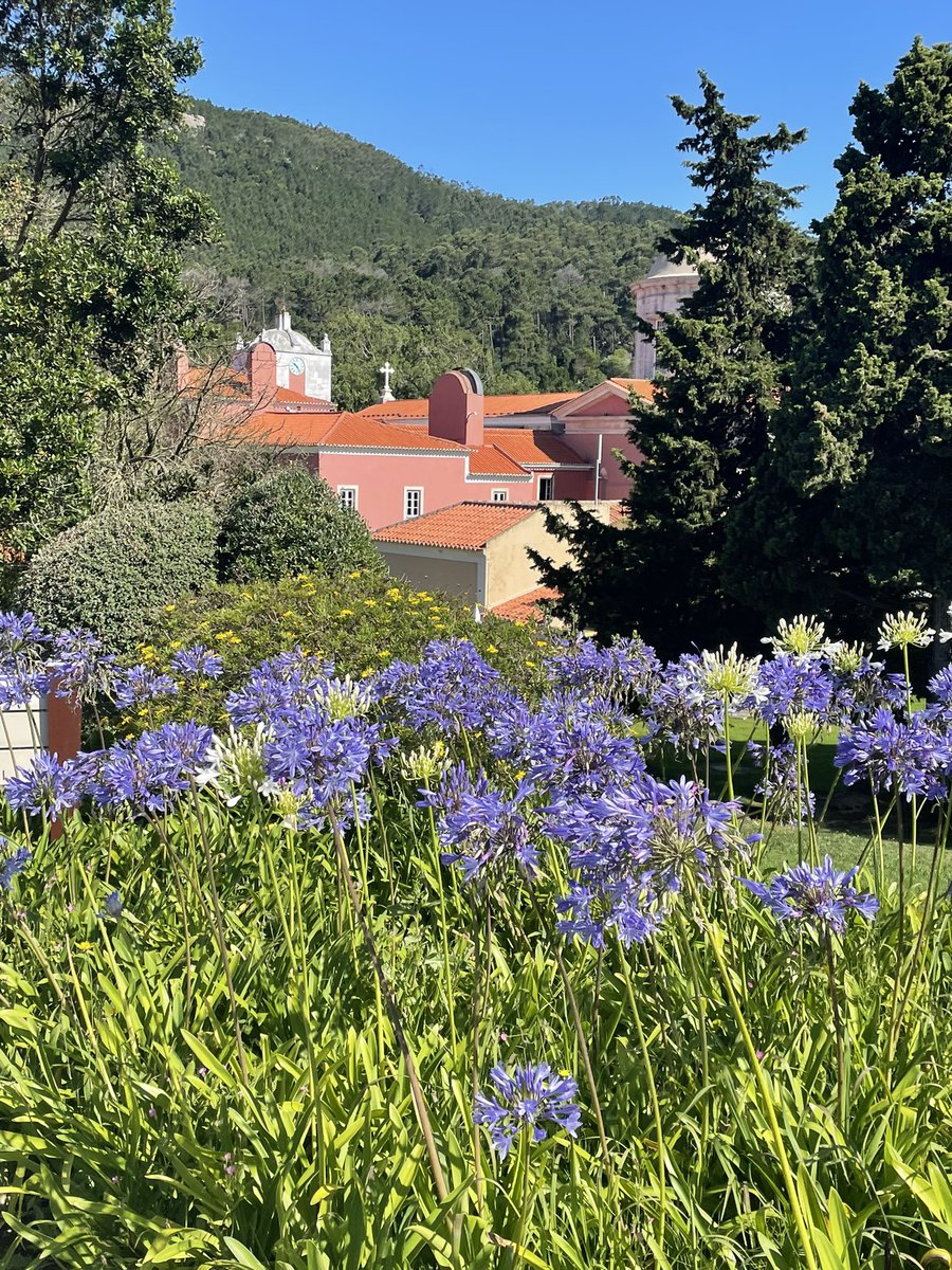 Coming up today on the last day of the #ECBForum:

- session on monetary policy cycles
- session on euro area productivity
- panel on drivers of equilibrium interest rates
- a conversation on issues currently facing the international financial system

youtu.be/tFg_QGfjqV0