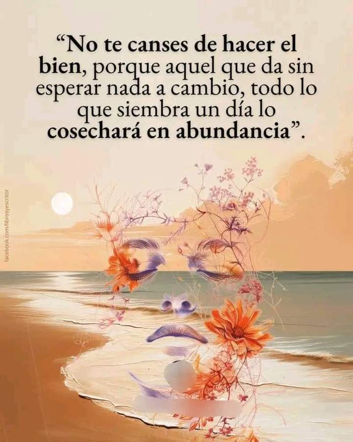 VidaEquilibrada (@vidaequilibrad4) on Twitter photo 