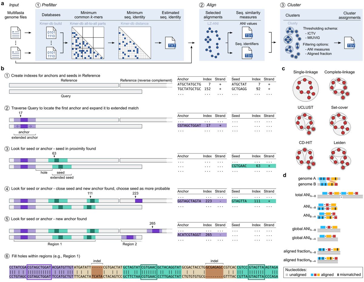 Excited to share Vclust! It's a fast and accurate tool for calculating intergenomic similarities (like ANI) and clustering virus/#phage genomes/contigs according to ICTV and MIUViG standards.

💻 Tool: github.com/refresh-bio/vc…
📄 Preprint: biorxiv.org/content/10.110… 

Thread! 1/6 ↓