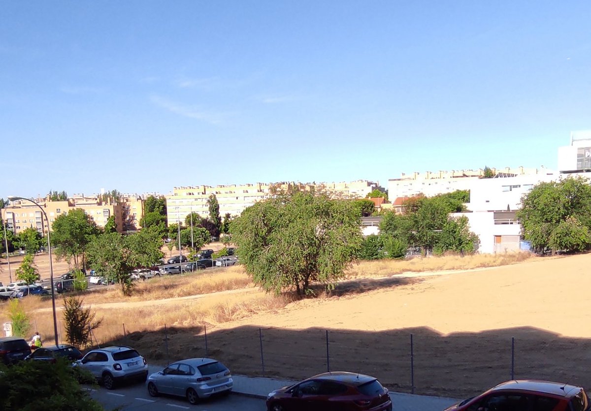 Buenos días <a href="/Lineamadrid/">Línea Madrid</a> 
¿Cuál es el motivo de que solo se haya limpiado la mitad del descampado?
¿Lo van a dejar así? El trabajo está sin terminar!