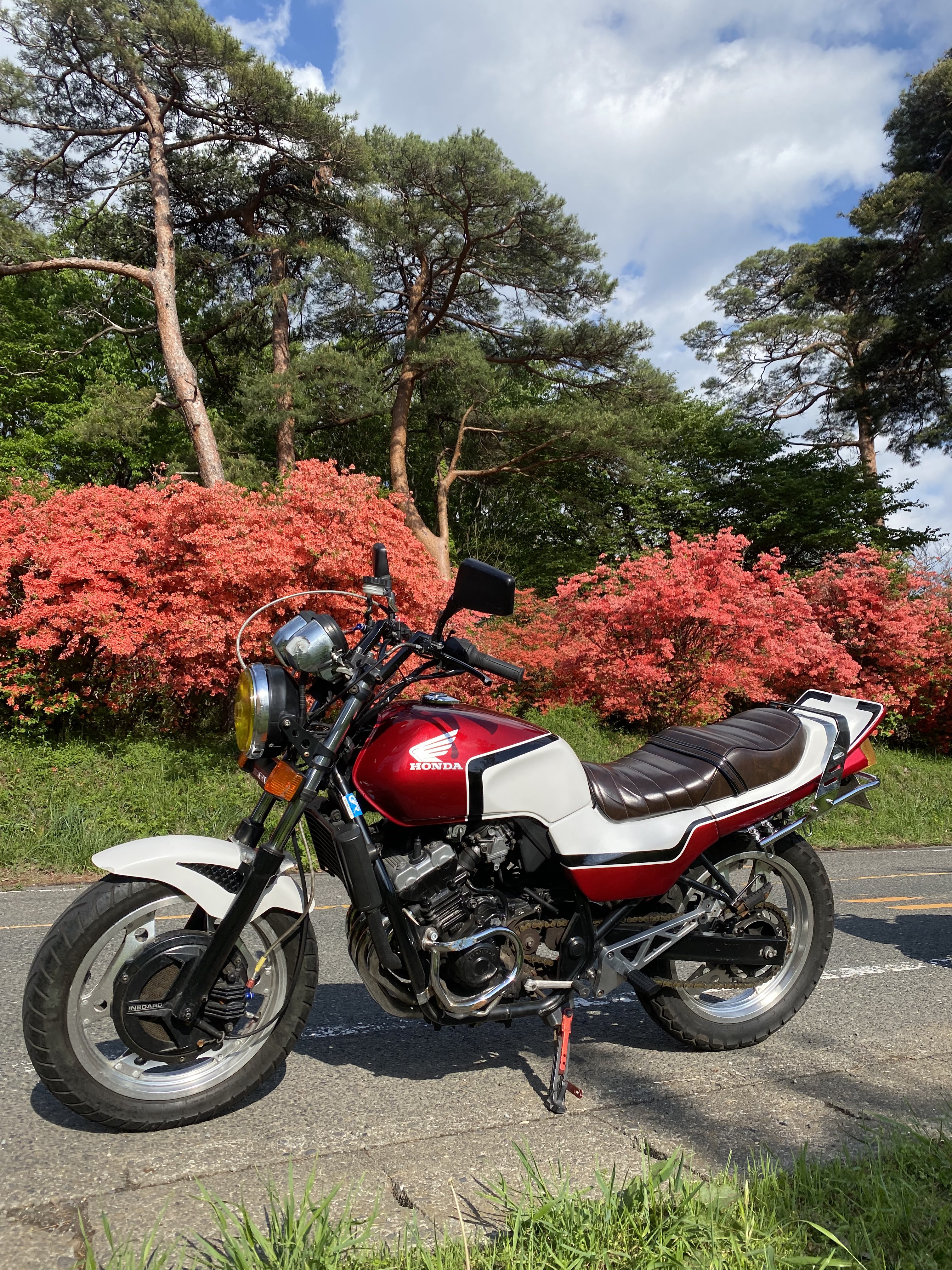 せんちゃん🫠 (@physhm) / X