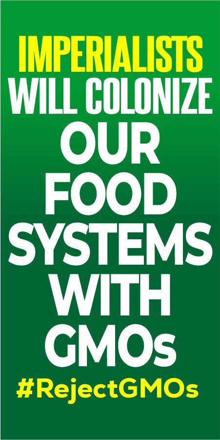 Rachael_W1's tweet image. They are forcing us to accept GMO crops policies shaped by select-few opinions, despite its potential for destruction of lives, cause cancer and many other form of evil. #BanGMOsNow 

@Sen_AhmadLawan
@WamakkoAliyu
@AllwellOnyesoh
@aminuabbas
@HonSiyakoYaro
@ArcLolaAshiru