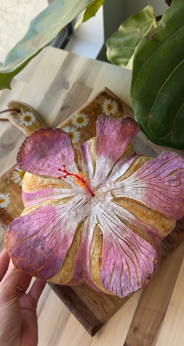 loeysmiffy's tweet photo. a hibiscus loaf?!! this gotta be the most beautiful loaf that was ever made!!! https://t.co/oAd3rSb3X1