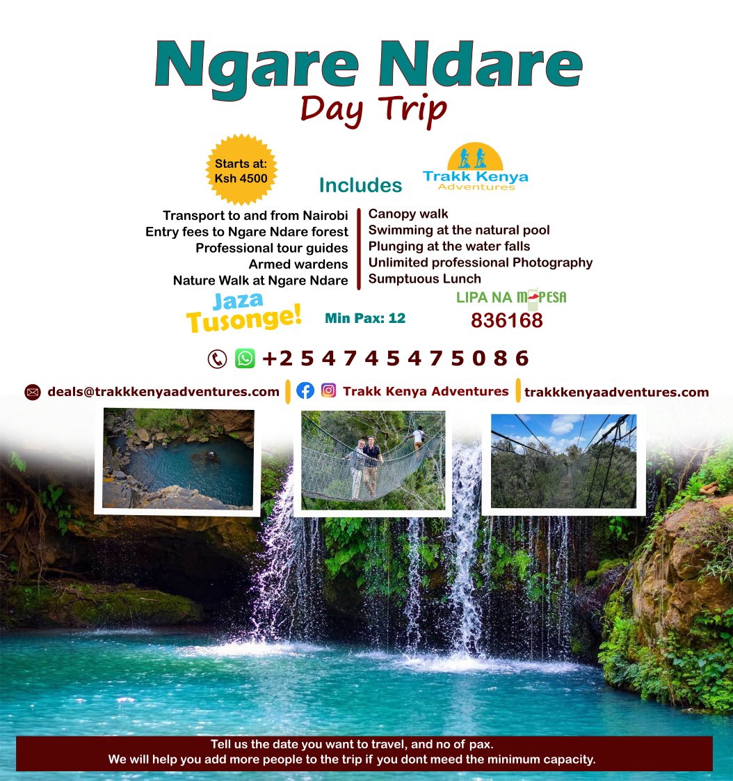 TrakkKenya's tweet photo. Ksh4500 only. Enjoy Ngare Ndare Forest, a popular destination for hikers and nature lovers. #OccupyCBDTuesday
#RutoMustGo Nakhumicha #Maandamano Hanifa NHIF
#ChebochokResignNow #GovtShutDown Goons https://t.co/mLefa5qctI