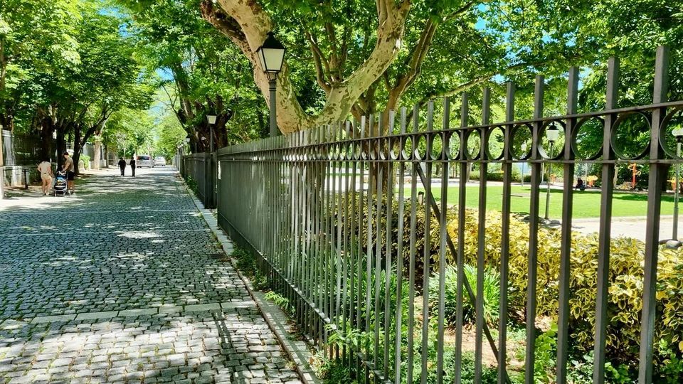 ☀️ En #SanLorenzoDeElEscorial cada calle es un tesoro por descubrir 🤩 desde sus empedradas calles hasta sus acogedores rincones 🌸
¡Déjate llevar y disfruta de un paseo inolvidable ❤️!

#TurismoSanLorenzoDeElEscorial
#SanLorenzoMasQueUnDestino
#verano
#callesconencanto